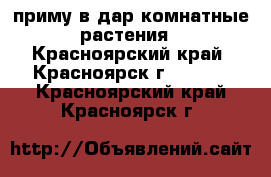 приму в дар комнатные растения - Красноярский край, Красноярск г.  »    . Красноярский край,Красноярск г.